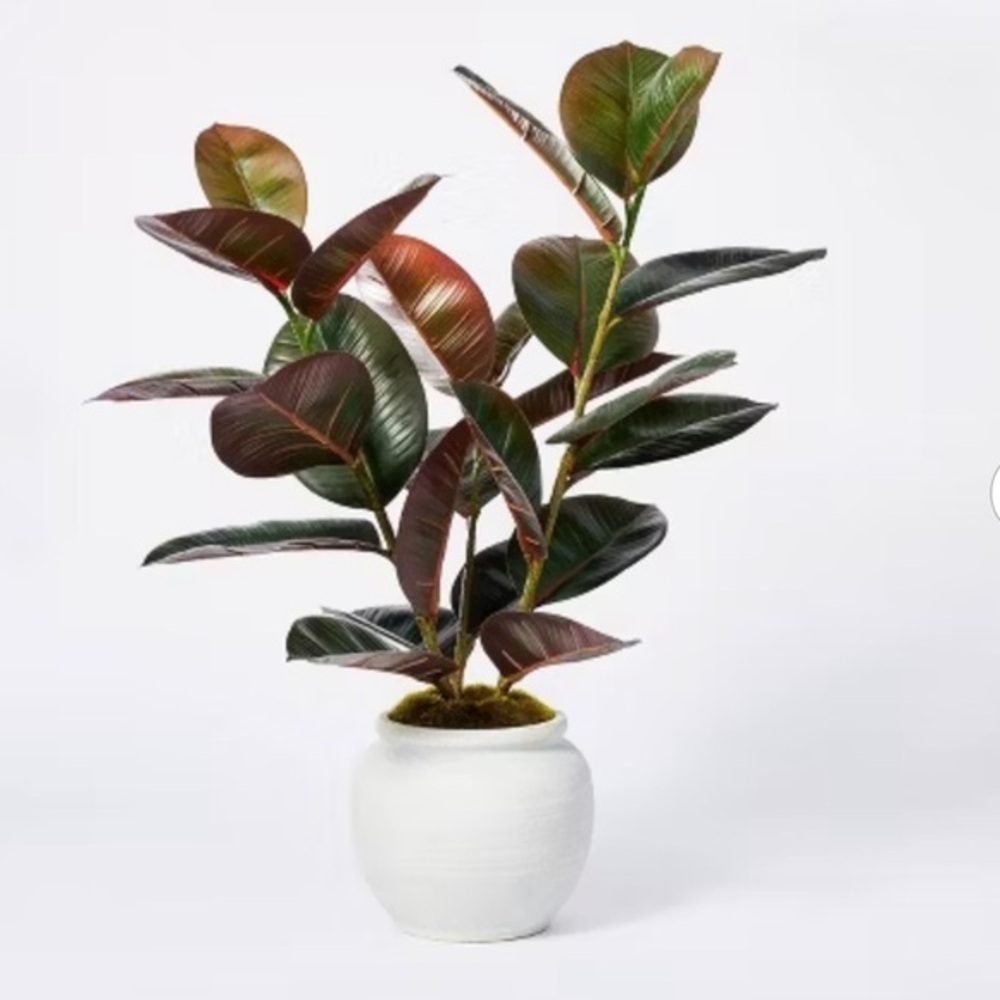 Threshold Faux Rubber Plant in White Ceramic Pot - Green and Burgundy Foliage